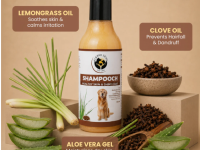 Bring Back Your Dog's Soft & Shiny Coat