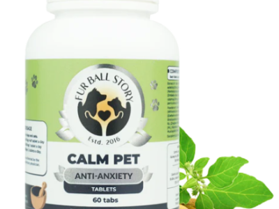 Keep Your Pet Calm During Thunderstorms & Fireworks