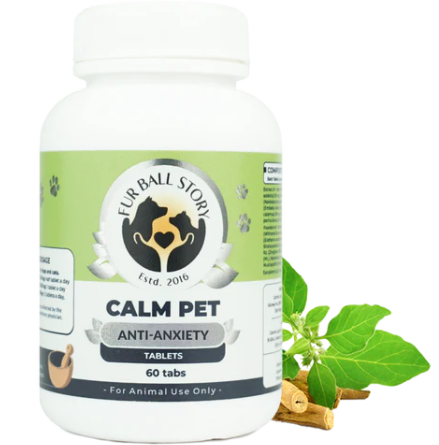 Keep Your Pet Calm During Thunderstorms & Fireworks