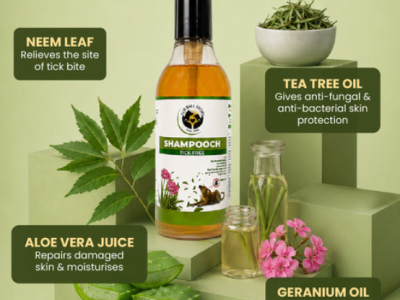 Herbal Flea Shampoo for Dogs