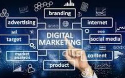 Best SEO Promotion services Delhi, India