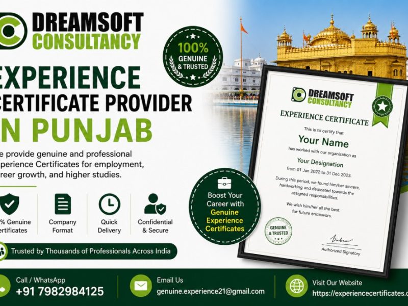 Reliable Experience Certificate Provider in Punjab