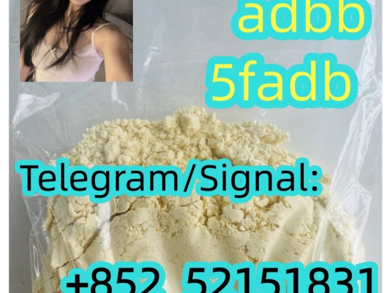 5cladba 5cl yellow powder 5cladba from best supplier