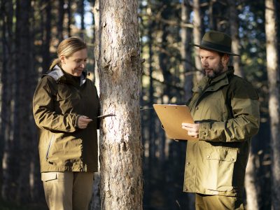 Forest Stewardship Explained: Protecting Vermont's Woodlands for the Future