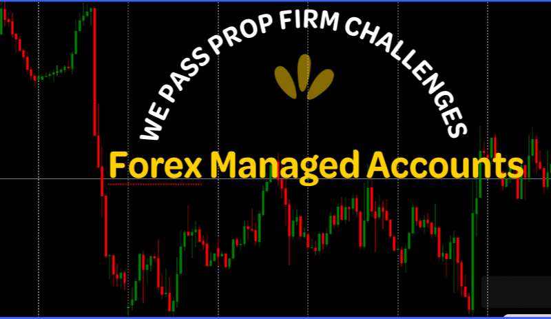 Prop Firm Challenge Management Service — FTMO, FundedNext, The5ers, Apex