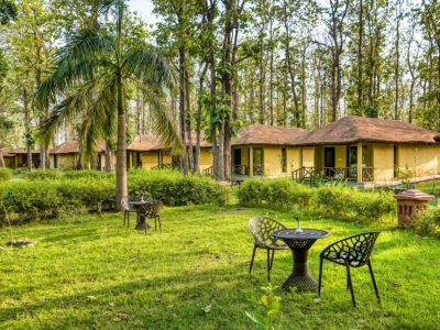 Forest Resort in Jim Corbett for a Peaceful Wildlife Retreat Stay