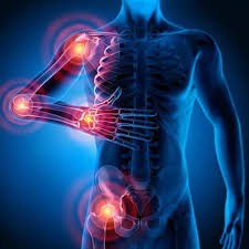 Can Calmora CBD Gummies help with back pain?