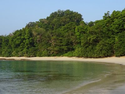 Discover Andaman’s Hidden Beaches & Private Catamaran Cruises