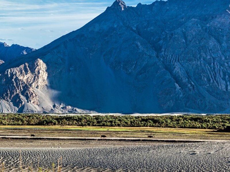 Discover Ladakh’s High-Altitude Luxury Glamping Experience