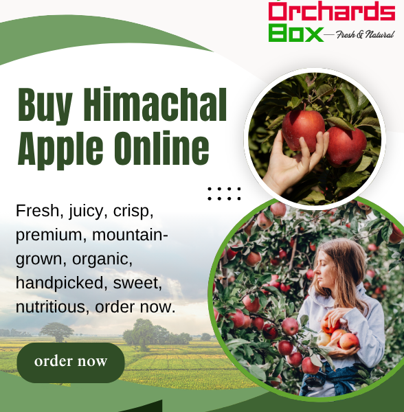 Buy Fresh Apples Online From Us - Orchards Box