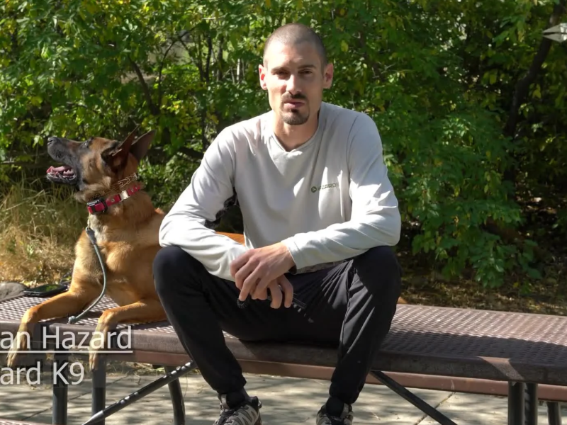 Professional Reno Dog Training for Better Behavior and Obedience