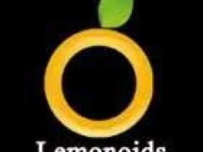 Google Marketing Classes In Hyderabad - Lemonoids