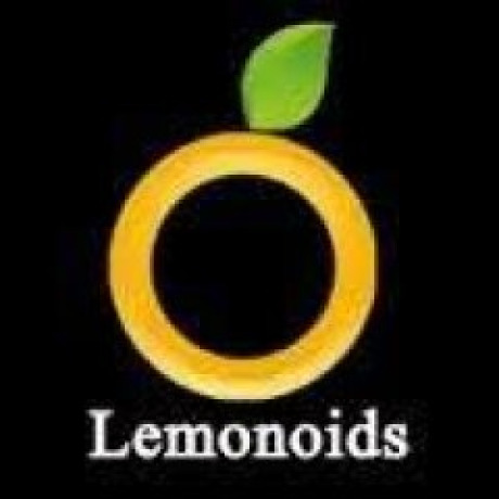 Google Marketing Classes In Hyderabad - Lemonoids