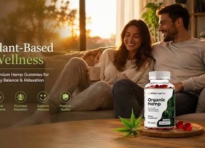 Do Wilder Leaf Gummies help with pain?