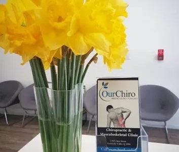 Our Chiro Brisbane