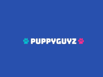 Queens Puppy For Sale | Puppyguyz.com