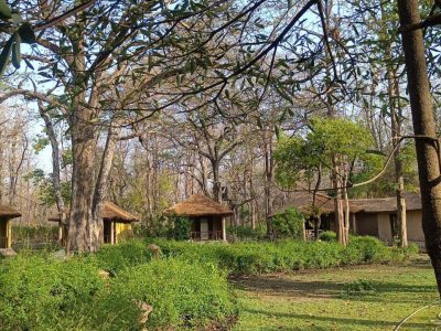 Safari Stay Near Bijrani Zone | Bijrani Jungle Cottages