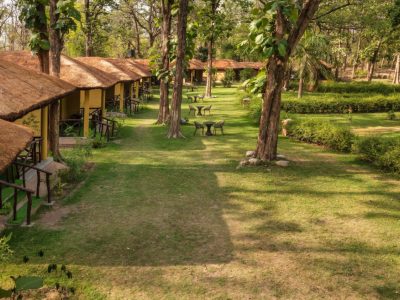 Jungle Resort in Jim Corbett | Bijrani Jungle Cottages