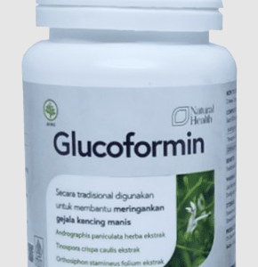 Glucofomin: A Smart Support for Diabetes Management