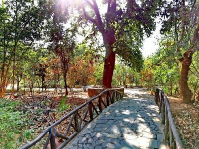 Book /Hotel /Bandhav /vilas /Bandhavgarh | Best Hotel in Bandhavgarh - Asia - Hotels & Resorts