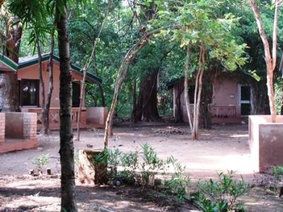Book Maharajas Royal Retreat, Bandhavgarh | Best Hotel in Bandhavgarh Asia Hotels & Resorts
