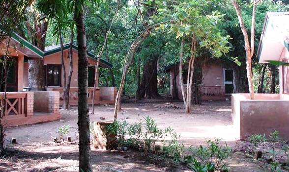 Book Maharajas Royal Retreat, Bandhavgarh | Best Hotel in Bandhavgarh Asia Hotels & Resorts
