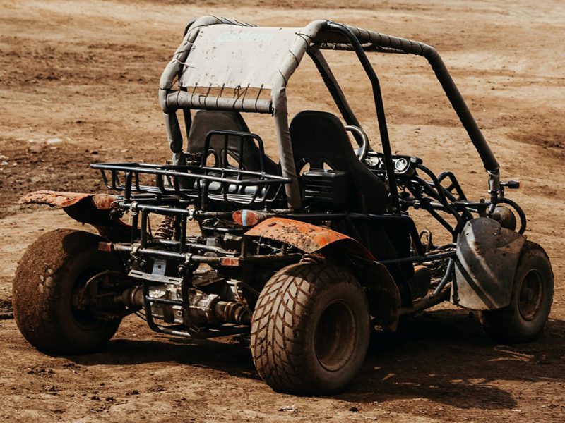Adventure Activities In Jim Corbett | Amaris Greens