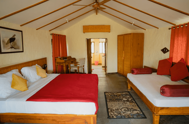 Book /Monsoon /Forest /Bandhavgarh | Best Hotel in Bandhavgarh - Asia - Hotels & Resorts.