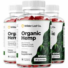 Who should use Wilder Leaf Hemp?
