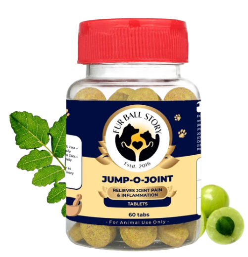 Natural Joint Support for Dogs
