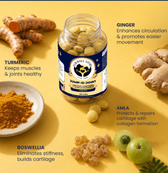 Natural Joint Support for Dogs