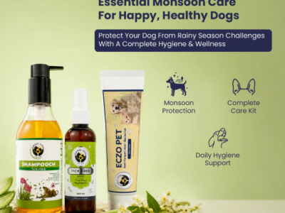 Rainy Essentials Combo Pack for Dogs