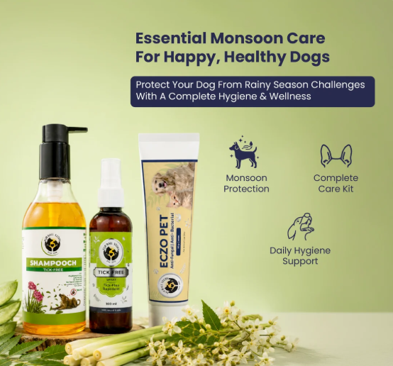 Rainy Essentials Combo Pack for Dogs