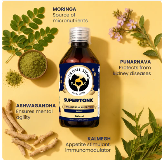 Dog Multivitamin Syrup for Daily Nutrition