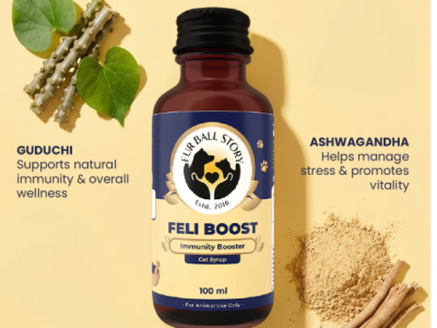 Natural Immunity Support Syrup for Cats