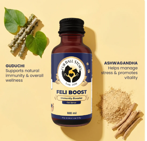 Natural Immunity Support Syrup for Cats