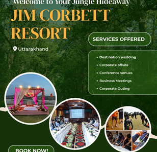 Jim Corbett Resorts – A Memorable Stay in the Wild