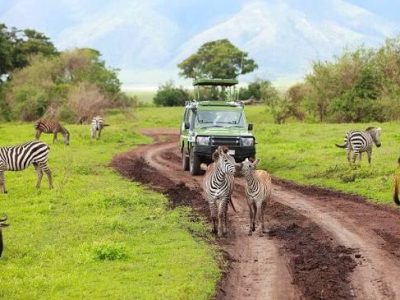 private safari tours in Tanzania