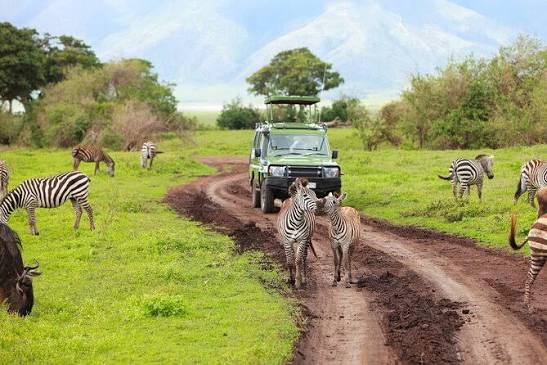 private safari tours in Tanzania