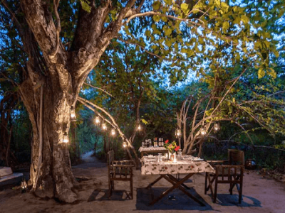 Book /Tree /House /Hideaway /Bandhavgarh | Best Hotel in Bandhavgarh - Asia - Hotels & Resorts.