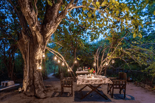 Book /Tree /House /Hideaway /Bandhavgarh | Best Hotel in Bandhavgarh - Asia - Hotels & Resorts.