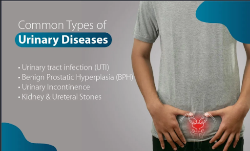 Does Prostacyl Precision support overall prostate health?