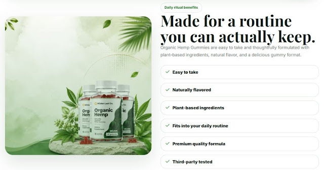 Wilder Leaf Organic Hemp – Complete Review, Benefits, Uses & Buying Guide