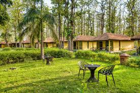 Jungle Resort In Jimcorbett for a Comfortable Wildlife Experience