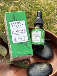 Rosemary Oil for Hair Growth: Natural Hair Care Guide