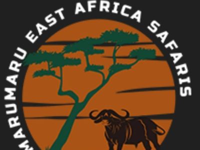east africa tours and safaris