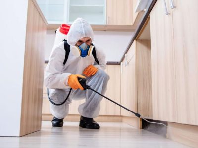 Pest Control Service