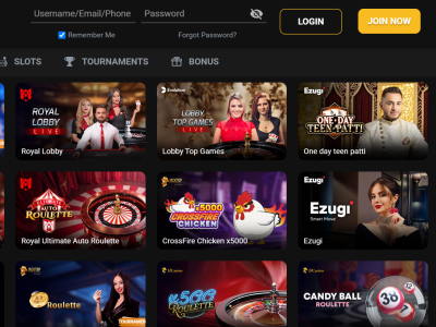 RealJeet Technical Troubleshooting & Support Guide for Users