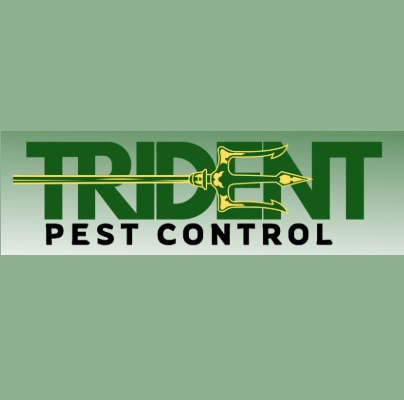 same day pest control Tarneit