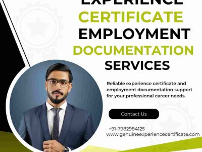 Professional Experience Certificate Provider in Kochi